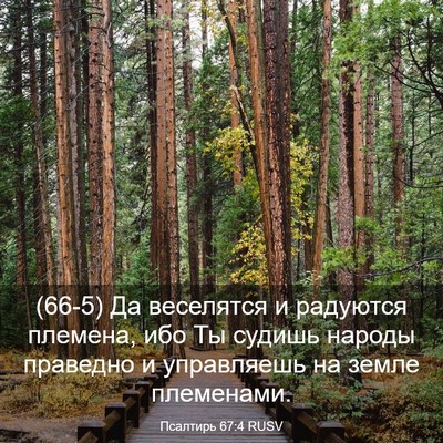 Picture 03 - Псалтирь 67:4 RUSV - (66-5) Да веселятся и - Bible Verse Picture