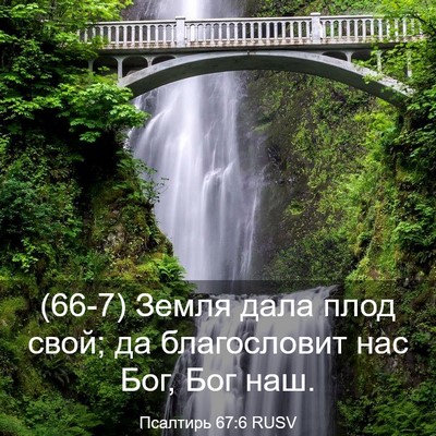 Picture 03 - Псалтирь 67:6 RUSV - (66-7) Земля дала плод свой; - Bible Verse Picture