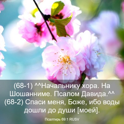 Picture 03 - Псалтирь 69:1 RUSV - (68-1) ^^Начальнику хора. На - Bible Verse Picture