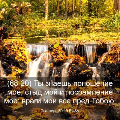 Picture 03 - Псалтирь 69:19 RUSV - (68-20) Ты знаешь поношение - Bible Verse Picture