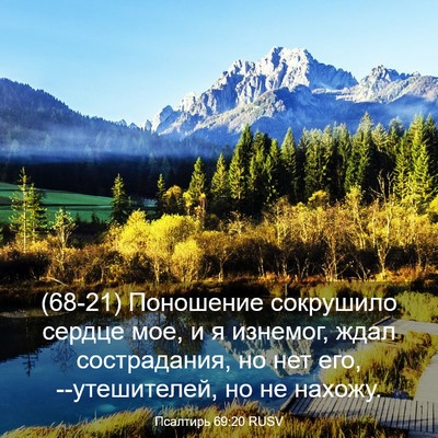 Picture 03 - Псалтирь 69:20 RUSV - (68-21) Поношение сокрушило - Bible Verse Picture