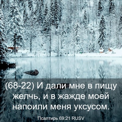 Picture 03 - Псалтирь 69:21 RUSV - (68-22) И дали мне в пищу - Bible Verse Picture