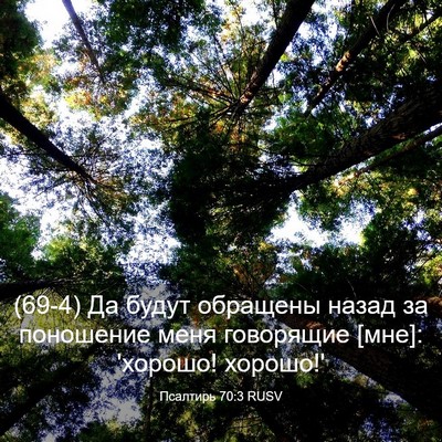 Picture 03 - Псалтирь 70:3 RUSV - (69-4) Да будут обращены - Bible Verse Picture