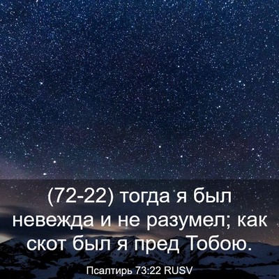 Picture 03 - Псалтирь 73:22 RUSV - (72-22) тогда я был невежда и - Bible Verse Picture