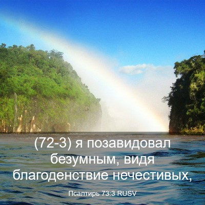 Picture 03 - Псалтирь 73:3 RUSV - (72-3) я позавидовал - Bible Verse Picture