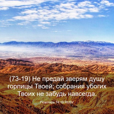 Picture 03 - Псалтирь 74:19 RUSV - (73-19) Не предай зверям душу - Bible Verse Picture