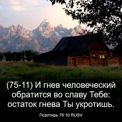 Picture 03 - Псалтирь 76:10 RUSV - (75-11) И гнев человеческий - Bible Verse Picture