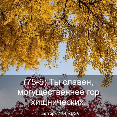 Picture 03 - Псалтирь 76:4 RUSV - (75-5) Ты славен, - Bible Verse Picture