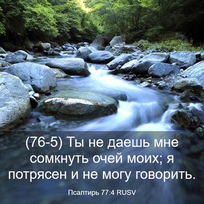 Picture 03 - Псалтирь 77:4 RUSV - (76-5) Ты не даешь мне - Bible Verse Picture