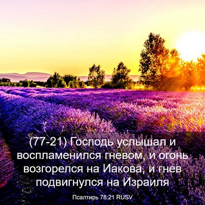 Picture 03 - Псалтирь 78:21 RUSV - (77-21) Господь услышал и - Bible Verse Picture