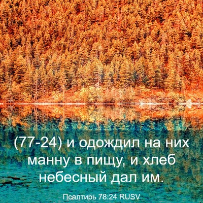 Picture 03 - Псалтирь 78:24 RUSV - (77-24) и одождил на них манну - Bible Verse Picture