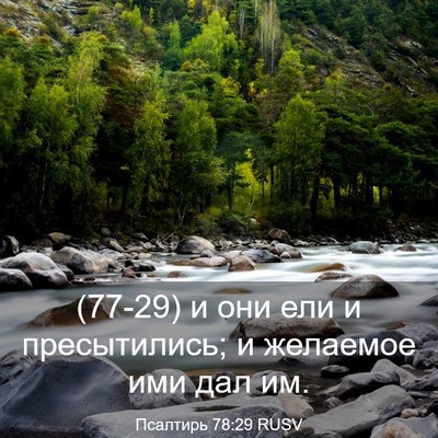 Picture 03 - Псалтирь 78:29 RUSV - (77-29) и они ели и - Bible Verse Picture