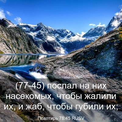 Picture 03 - Псалтирь 78:45 RUSV - (77-45) послал на них - Bible Verse Picture