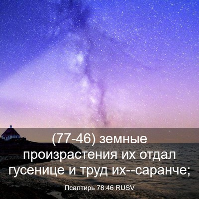 Picture 03 - Псалтирь 78:46 RUSV - (77-46) земные произрастения - Bible Verse Picture