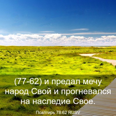 Picture 03 - Псалтирь 78:62 RUSV - (77-62) и предал мечу народ - Bible Verse Picture
