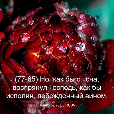 Picture 03 - Псалтирь 78:65 RUSV - (77-65) Но, как бы от сна, - Bible Verse Picture
