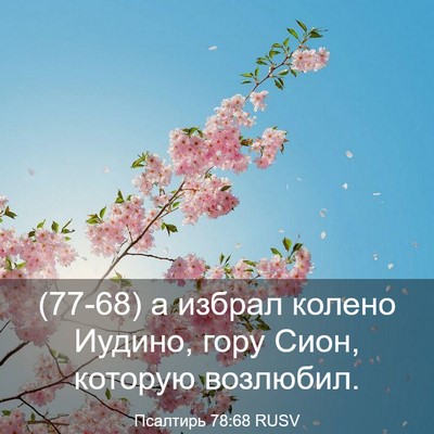 Picture 03 - Псалтирь 78:68 RUSV - (77-68) а избрал колено - Bible Verse Picture