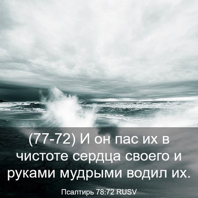Picture 03 - Псалтирь 78:72 RUSV - (77-72) И он пас их в чистоте - Bible Verse Picture