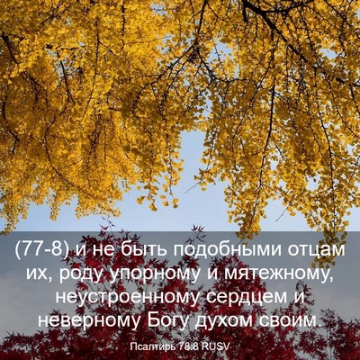 Picture 03 - Псалтирь 78:8 RUSV - (77-8) и не быть подобными - Bible Verse Picture