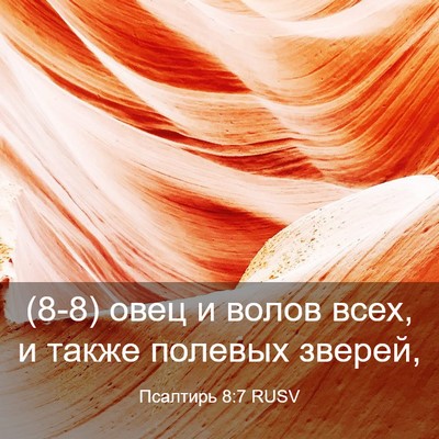 Picture 03 - Псалтирь 8:7 RUSV - (8-8) овец и волов всех, и - Bible Verse Picture