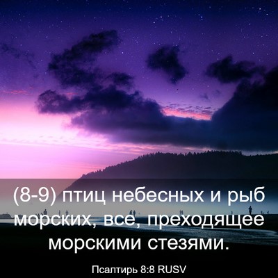 Picture 03 - Псалтирь 8:8 RUSV - (8-9) птиц небесных и рыб - Bible Verse Picture