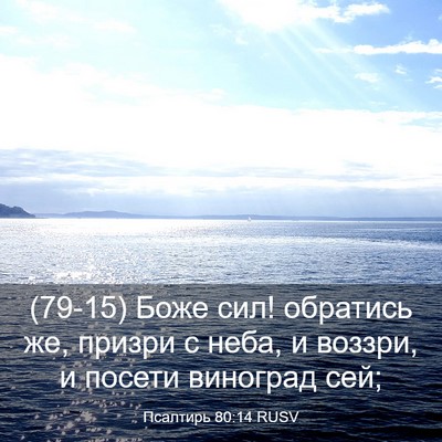 Picture 03 - Псалтирь 80:14 RUSV - (79-15) Боже сил! обратись же, - Bible Verse Picture