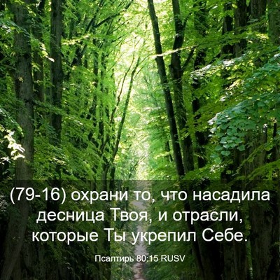 Picture 03 - Псалтирь 80:15 RUSV - (79-16) охрани то, что - Bible Verse Picture