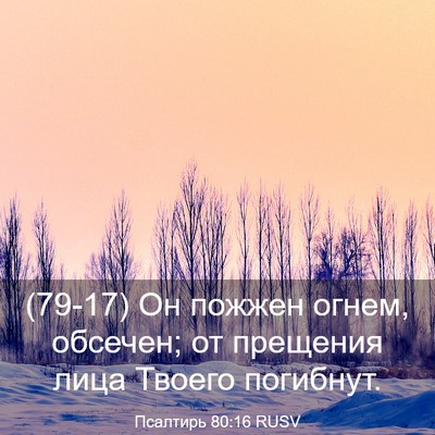 Picture 03 - Псалтирь 80:16 RUSV - (79-17) Он пожжен огнем, - Bible Verse Picture