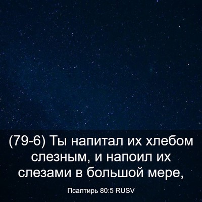 Picture 03 - Псалтирь 80:5 RUSV - (79-6) Ты напитал их хлебом - Bible Verse Picture