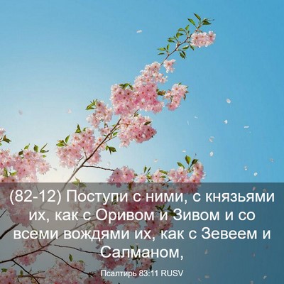 Picture 03 - Псалтирь 83:11 RUSV - (82-12) Поступи с ними, с - Bible Verse Picture