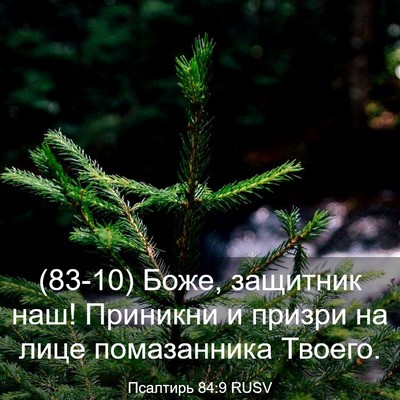 Picture 03 - Псалтирь 84:9 RUSV - (83-10) Боже, защитник наш! - Bible Verse Picture
