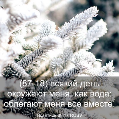 Picture 03 - Псалтирь 88:17 RUSV - (87-18) всякий день окружают - Bible Verse Picture