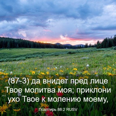 Picture 03 - Псалтирь 88:2 RUSV - (87-3) да внидет пред лице - Bible Verse Picture