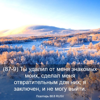 Picture 03 - Псалтирь 88:8 RUSV - (87-9) Ты удалил от меня - Bible Verse Picture