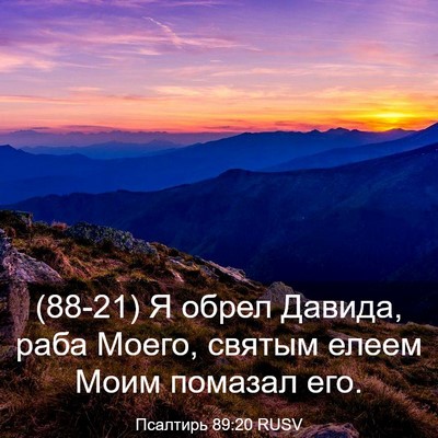Picture 03 - Псалтирь 89:20 RUSV - (88-21) Я обрел Давида, раба - Bible Verse Picture
