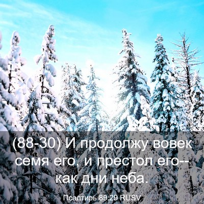 Picture 03 - Псалтирь 89:29 RUSV - (88-30) И продолжу вовек семя - Bible Verse Picture