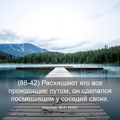 Picture 03 - Псалтирь 89:41 RUSV - (88-42) Расхищают его все - Bible Verse Picture