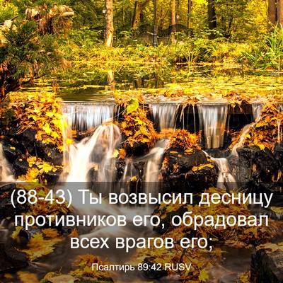 Picture 03 - Псалтирь 89:42 RUSV - (88-43) Ты возвысил десницу - Bible Verse Picture