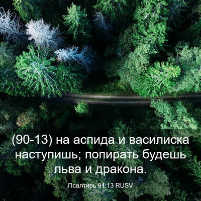 Picture 03 - Псалтирь 91:13 RUSV - (90-13) на аспида и василиска - Bible Verse Picture