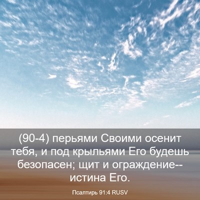 Picture 03 - Псалтирь 91:4 RUSV - (90-4) перьями Своими осенит - Bible Verse Picture