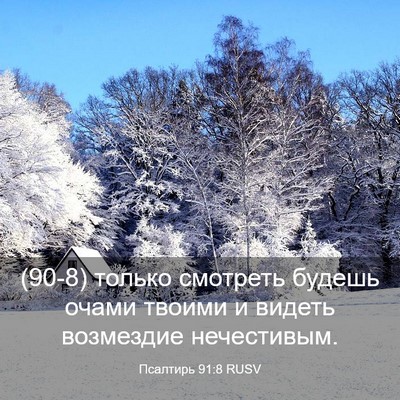 Picture 03 - Псалтирь 91:8 RUSV - (90-8) только смотреть будешь - Bible Verse Picture