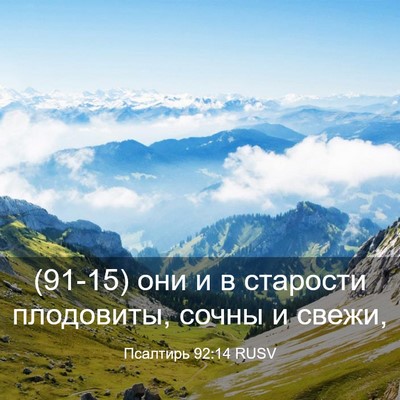 Picture 03 - Псалтирь 92:14 RUSV - (91-15) они и в старости - Bible Verse Picture