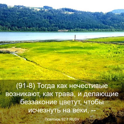 Picture 03 - Псалтирь 92:7 RUSV - (91-8) Тогда как нечестивые - Bible Verse Picture