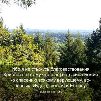 Picture 03 - Римлянам 1:16 RUSV - Ибо я не стыжусь - Bible Verse Picture