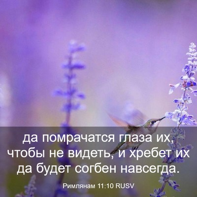 Picture 03 - Римлянам 11:10 RUSV - да помрачатся глаза их, - Bible Verse Picture