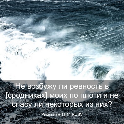 Picture 03 - Римлянам 11:14 RUSV - Не возбужу ли ревность в - Bible Verse Picture