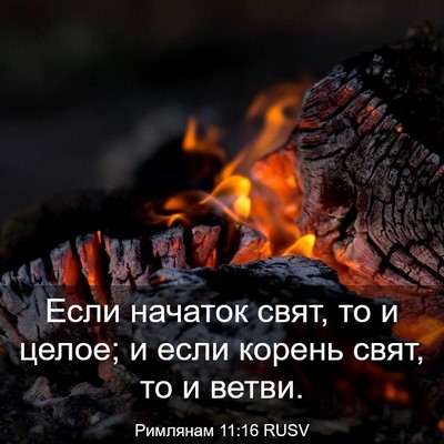 Picture 03 - Римлянам 11:16 RUSV - Если начаток свят, то и - Bible Verse Picture