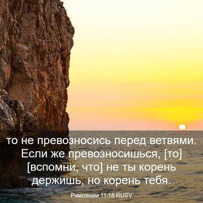 Picture 03 - Римлянам 11:18 RUSV - то не превозносись перед - Bible Verse Picture