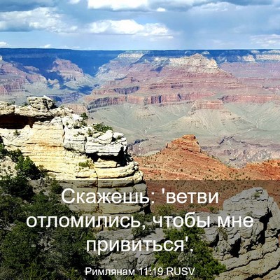 Picture 03 - Римлянам 11:19 RUSV - Скажешь: 'ветви отломились, - Bible Verse Picture