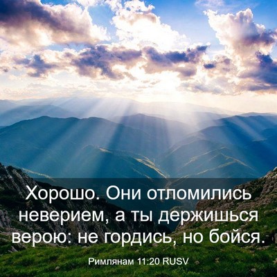 Picture 03 - Римлянам 11:20 RUSV - Хорошо. Они отломились - Bible Verse Picture